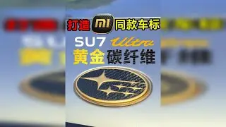 「成本极低」手搓24K黄金碳纤维车标