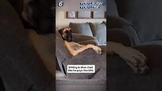 TOP 7 RANDOM MOMENTS PT109 | TRY NOT TO LAUGH