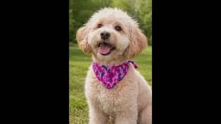 Crochet Dog Bandana