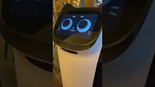 Robot waiters at Center Parcs Whinfell Forest #shorts