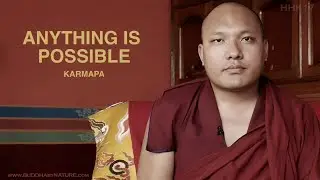 KARMAPA • ANYTHING IS POSSIBLE