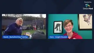 Insight Hounds and Barkshire Dog Training Enrichment with a Tug E Nuff Toy Demo