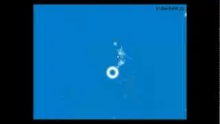 flOw Gameplay / flOw Геймплей