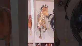 A lot of Breyer Horse Glossiness!! #modelhorses #breyerhorses #breyers #breyermodelhorses #horse