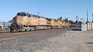 UP Southbound Loaded Gondola with a Tier 4 SD70 and a Hornshow!!!
