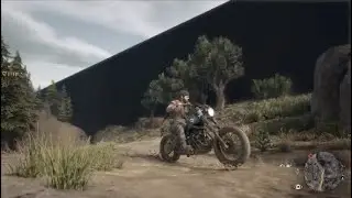 Days Gone Glitch Compilation