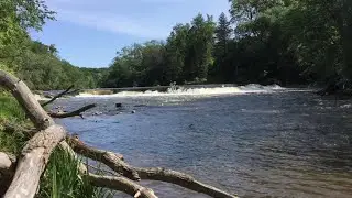 Milwaukee River Fishing at Kletzsch Park Wisconsin 密尔沃基河钓鱼