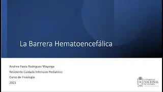 Barrera hematoencefálica (Parte 2 de 2). Curso Fisiología UCIP (2021 06 09)