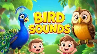Bird Sounds with Names 🐦 | Kids Learning  Jungle Birds | 
