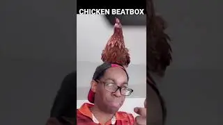 Hilarious Chicken Beatboxing Drum&Bass!😂 -Verbal Ase #shorts