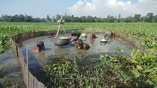 Best Fishing Video- Scene of fishing surrounded by nets-Traditional Catching Fish in The River