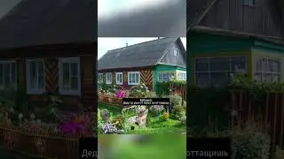 Случай из детства: бабушкин квас. #pov #коты #мем #прикол #юмор  #тренды #trending #мем