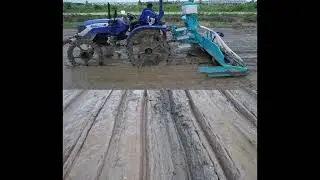 YONGXIANG DSR direct seeded rice seeder sowing precisely and evenly