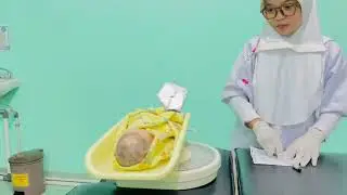 PERAWATAN BAYI SEGERA SETELAH LAHIR @akuharuna1740