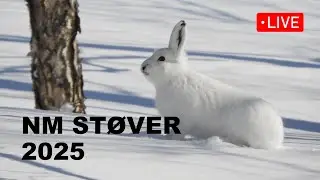 NM St&oslash;ver 2025 - Defilering nytt opptak