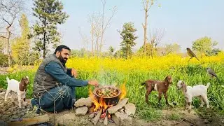 Traditional Chicken Karahi in Clay Pot | Village Life & Nature Cooking | ASMR Outdoor Cooking 