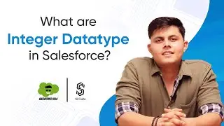 What Are Integer Datatype In Salesforce | Premium Salesforce Development Course 2025