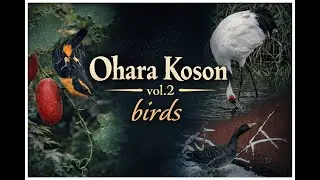Ohara Koson: The Bird Collection | 筆とレンズの对谈 — Brush & Lens, Vol. 2