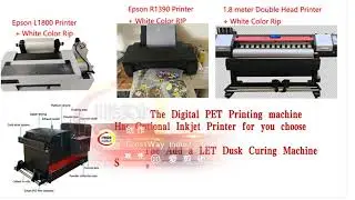 Digital DTF PET Printer With Shaking power Drying machine