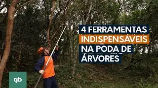 4 Ferramentas indispensáveis na poda de árvores