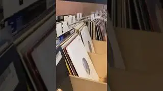 I Went To The BEST Record Stores In Chicago!