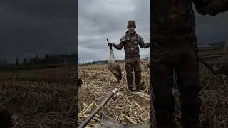 2 honkers daddies down! #goosehunting #waterfowlhunting #hunting #outdoors #oregonhunting