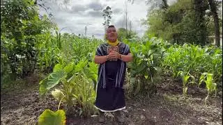 Indigenous Knowledge & Amazon Conservation: Andr&eacute;s Juagibioy on Revitalizing the Kam&euml;nts&aacute; Language
