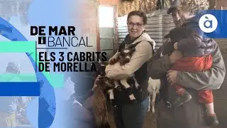 Els tres cabrits de Morella - De mar i bancal