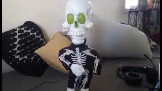 Custom Freaky Geek/ Big Head Skeleton
