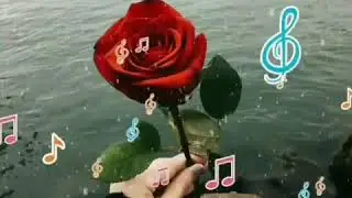 Super mahnı(Mehemmed Bakılı)