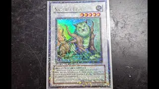 Picked Up a Naturia Beast DT-EN032 Ultra Parallel Rare Yu-Gi-Oh Card
