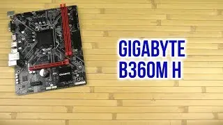 Распаковка Gigabyte B360M H
