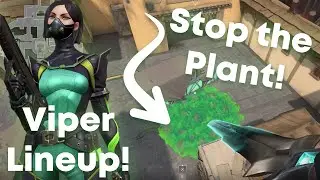 STOP THE PLANT! Valorant A Site Haven Viper Lineup!