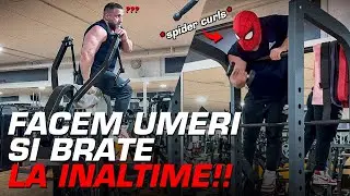 ANTRENAMENT DE UMERI SI BRATE