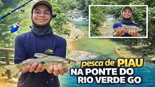 N&Atilde;O ACREDITEI NO TAMANHO DESSE PIAU! 😳 | Rio Verde GO Pesca rustica