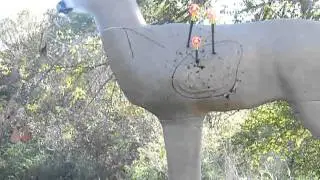 30 YARD FOB SHOTS.AVI