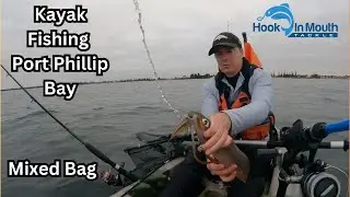 Kayak Fishing Port Phillip Bay - Surprise Catch
