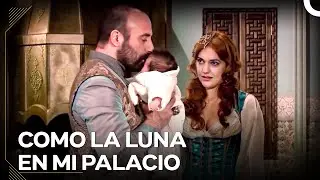 El Primer Encuentro Con La Bellísima Hija De Suleimán