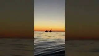Antics live! Aquatic sunset