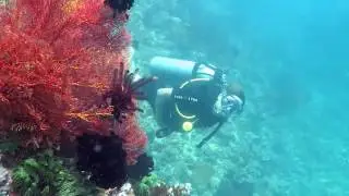 Save Bangka Island - The story of a reef and an illegal mine