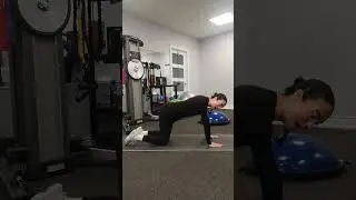 Bird-dog Core Strength exercise