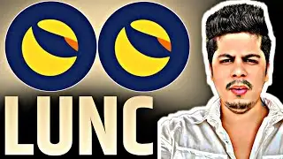 Lunc Coin & Luna Family