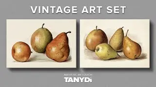 Pears Drawing, John Wright Vintage Illustrations, The Fruit Grower's Guide, Vintage Set 2rb1-701
