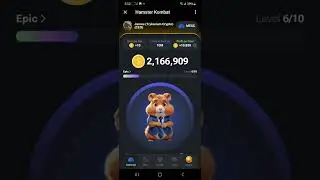 Hamster 🐹 KOMBAT telegram game. Moris code and special card question!!! HELP!!???