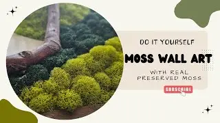 how to DIY Moss Wall Art | Hand-Made Preserved Moss Art | Wall Art for Livingroom