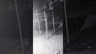 Treanding star
