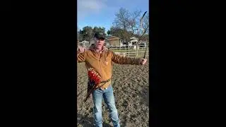 Popular Release Techniques For Horse Archers