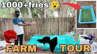 MY FARM TOUR / தமிழ் / PETS PARADISE 
