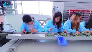 PLANTI