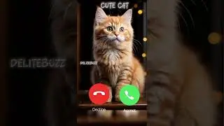 Cute cat calling